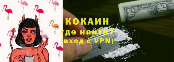 spice Богородицк