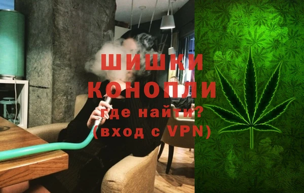 сатива Богданович