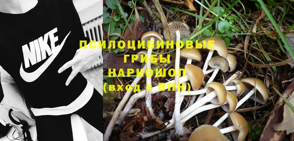 сатива Богданович