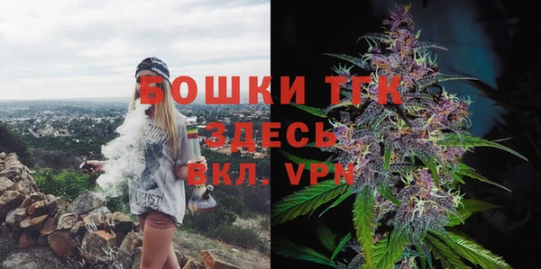 сатива Богданович