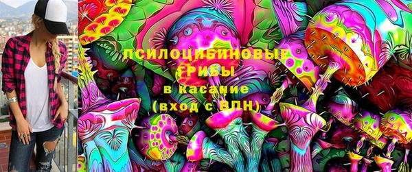 spice Богородицк