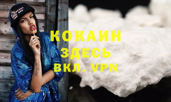 сатива Богданович