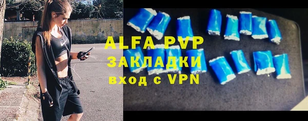 PSILOCYBIN Богородск