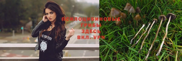 spice Богородицк