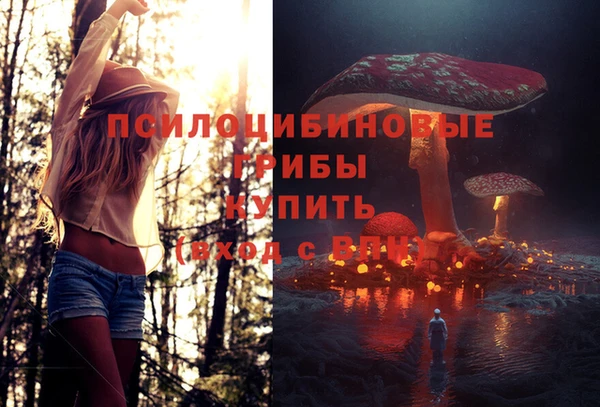 PSILOCYBIN Богородск