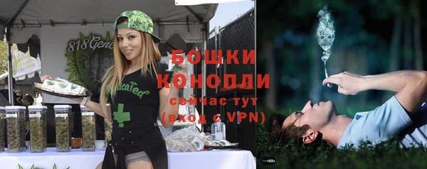 PSILOCYBIN Богородск