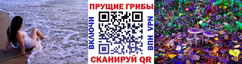 Галлюциногенные грибы прущие грибы  Тбилисская 